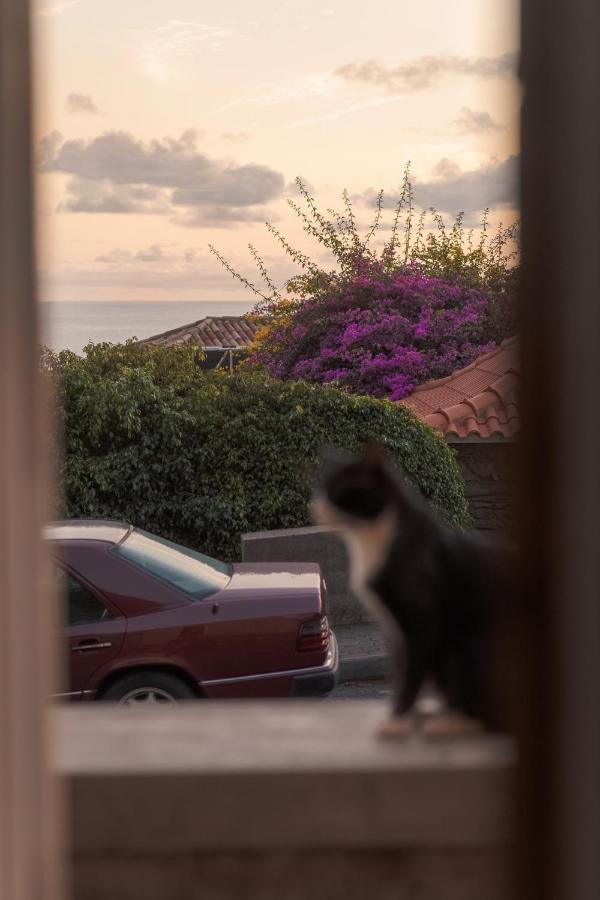 Casa Da Pitanga Βίλα Jardim do Mar Εξωτερικό φωτογραφία